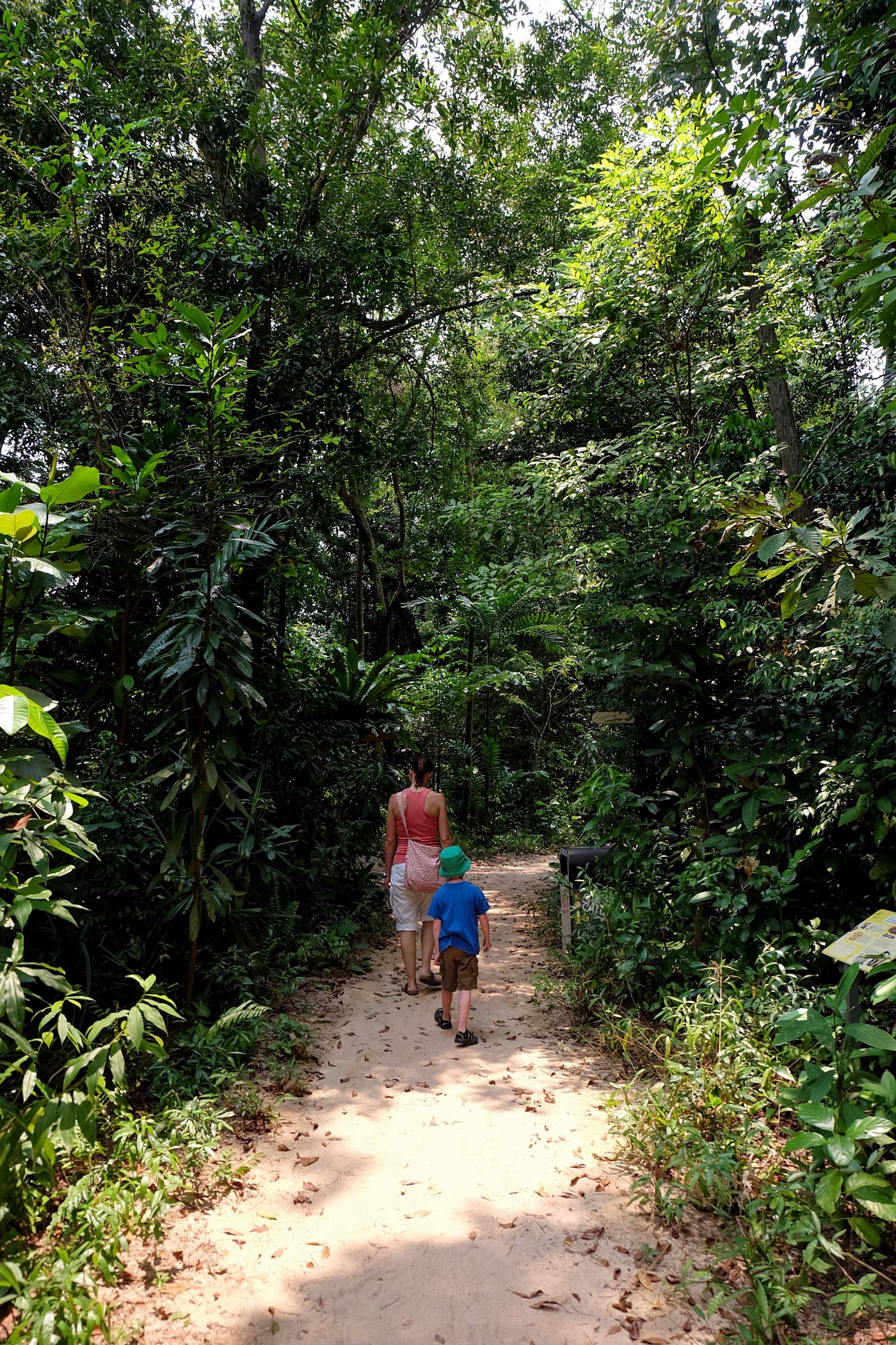 Sentosa Nature Discovery trail — Sentosa, Singapore
