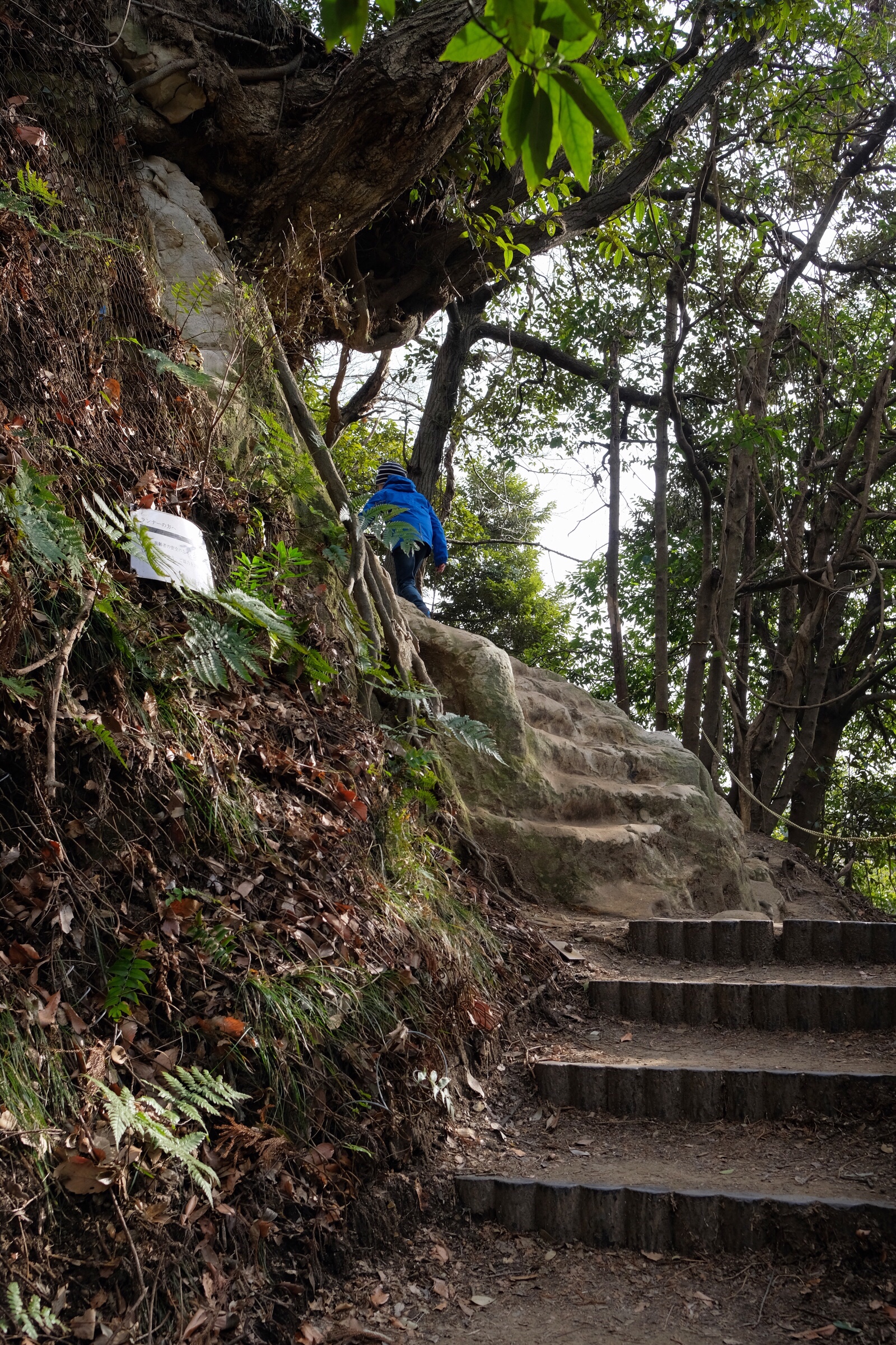 Japan – Kamakura – Daibutsu Hiking Course