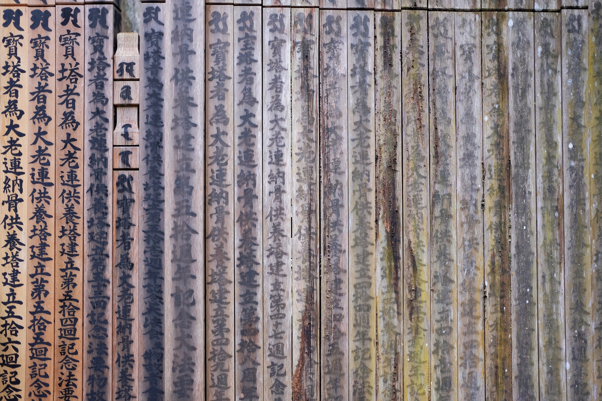 Japan - Koyasan - Okunoin Cemetery - Wooden sotoba