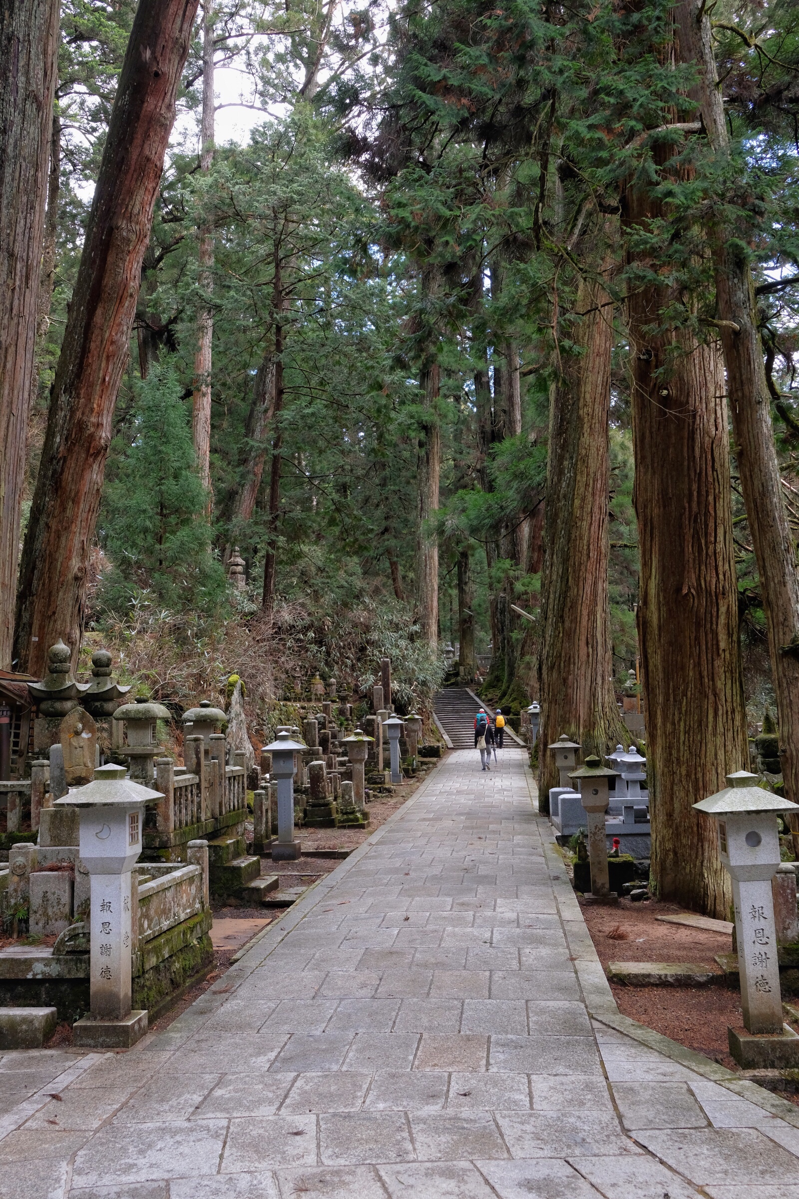 Japan - Koyasan - Okunoin Cemetery