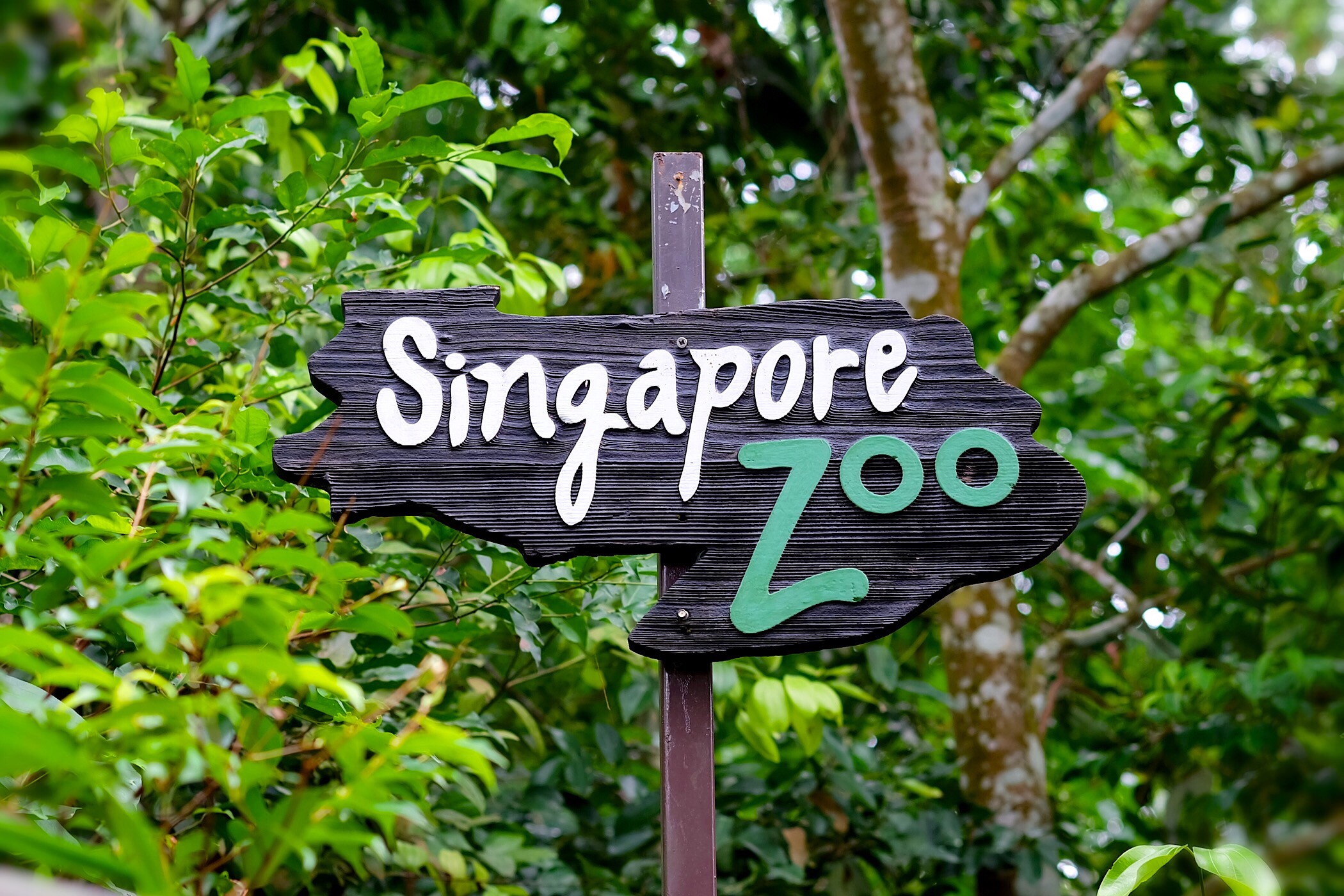 Singapore Zoo — Singapore