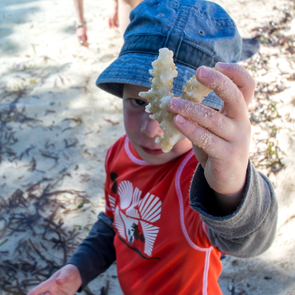 Rowan and some coral – Cebu, Philippines