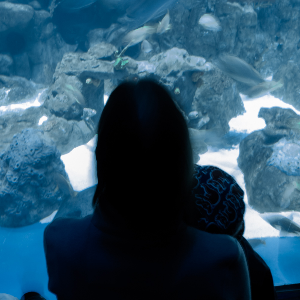 Rowan and I at The Grand Aquarium – Ocean Park, Hong Kong