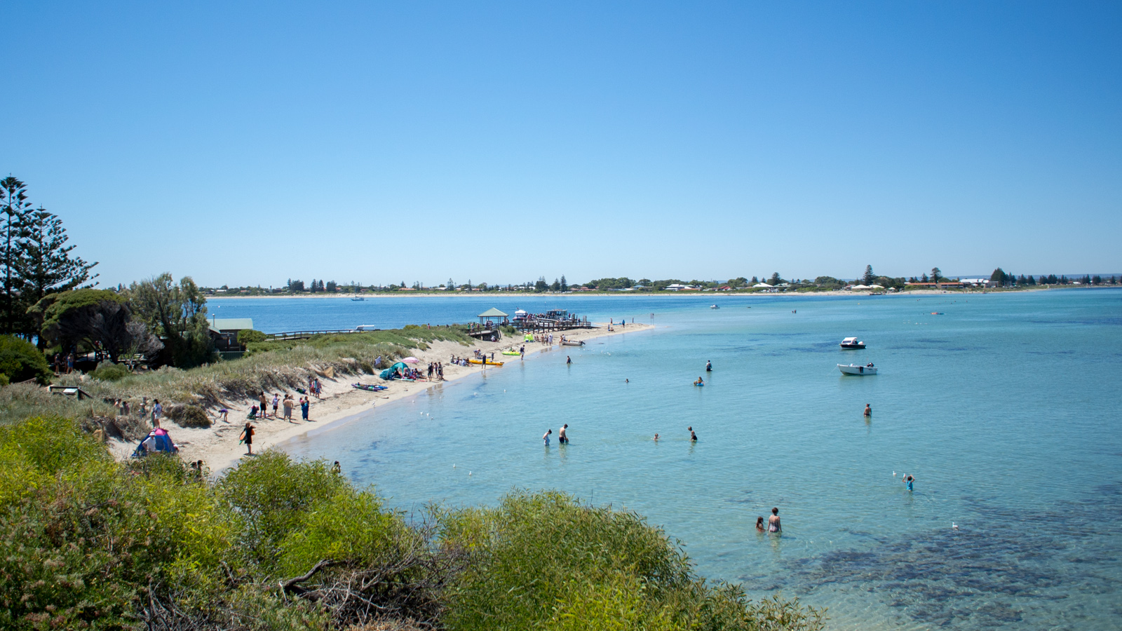 Penguin Island – Perth, Australia