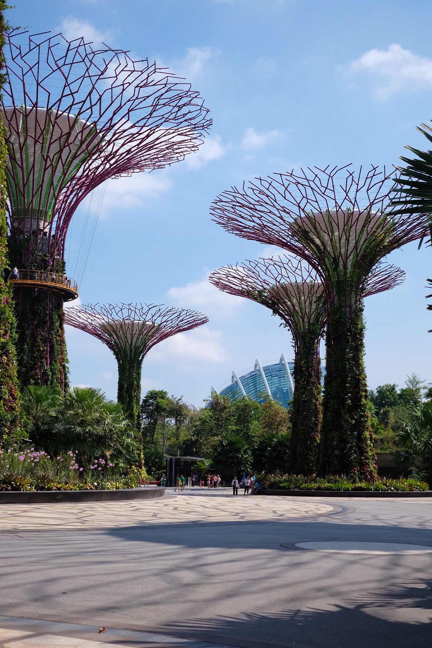Gardens by the Bay — Singapore
