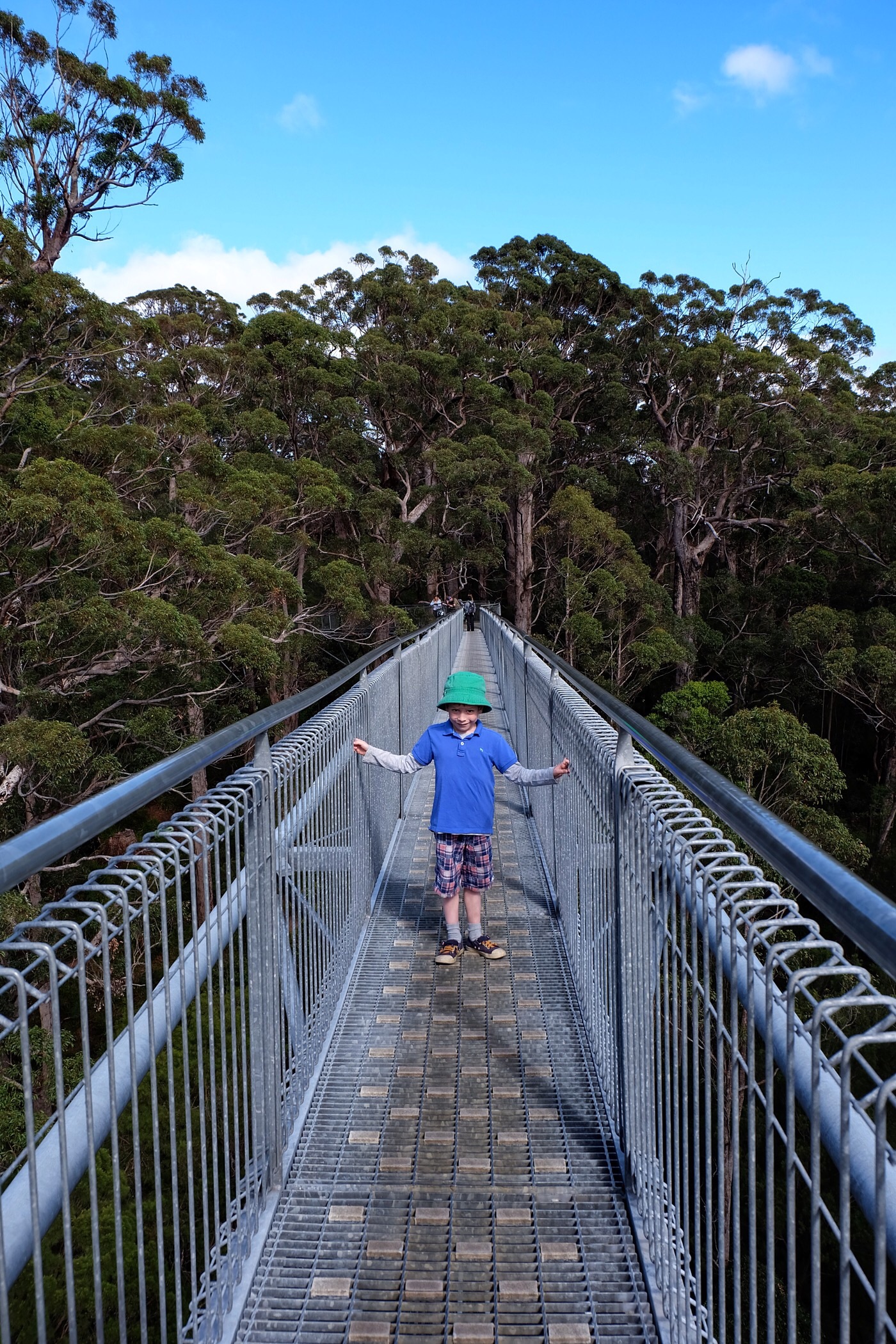 Rowan at the Valley of the Giants tree top walk — Walpole, Western Australia