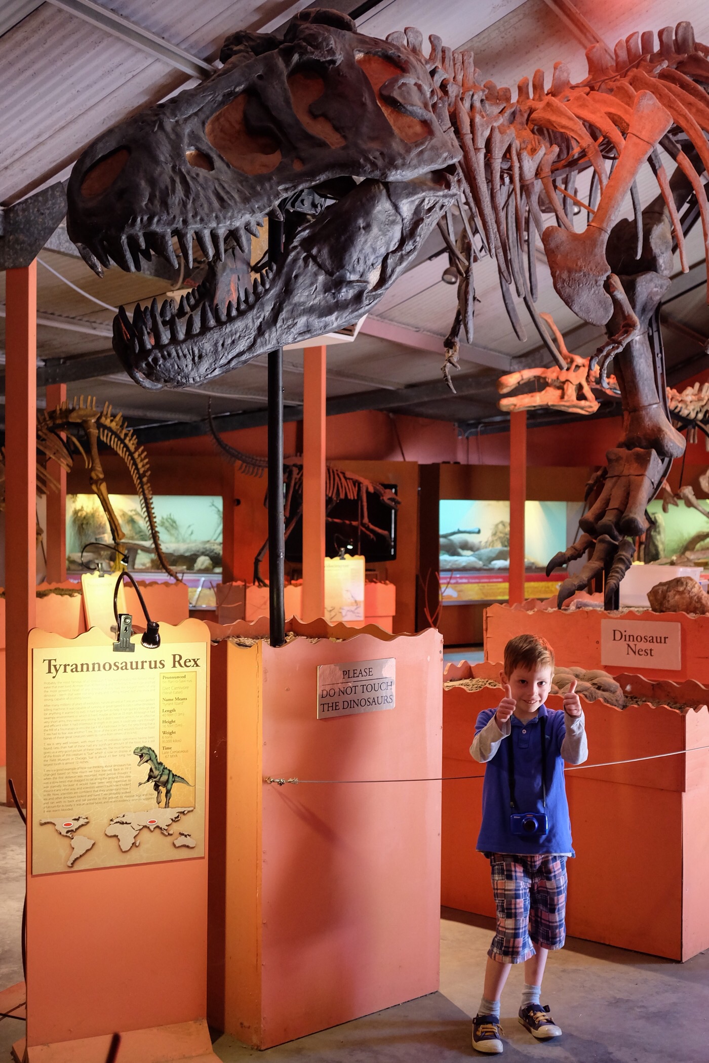 Rowan and his favourite dinosaur — Denmark, Western Australia