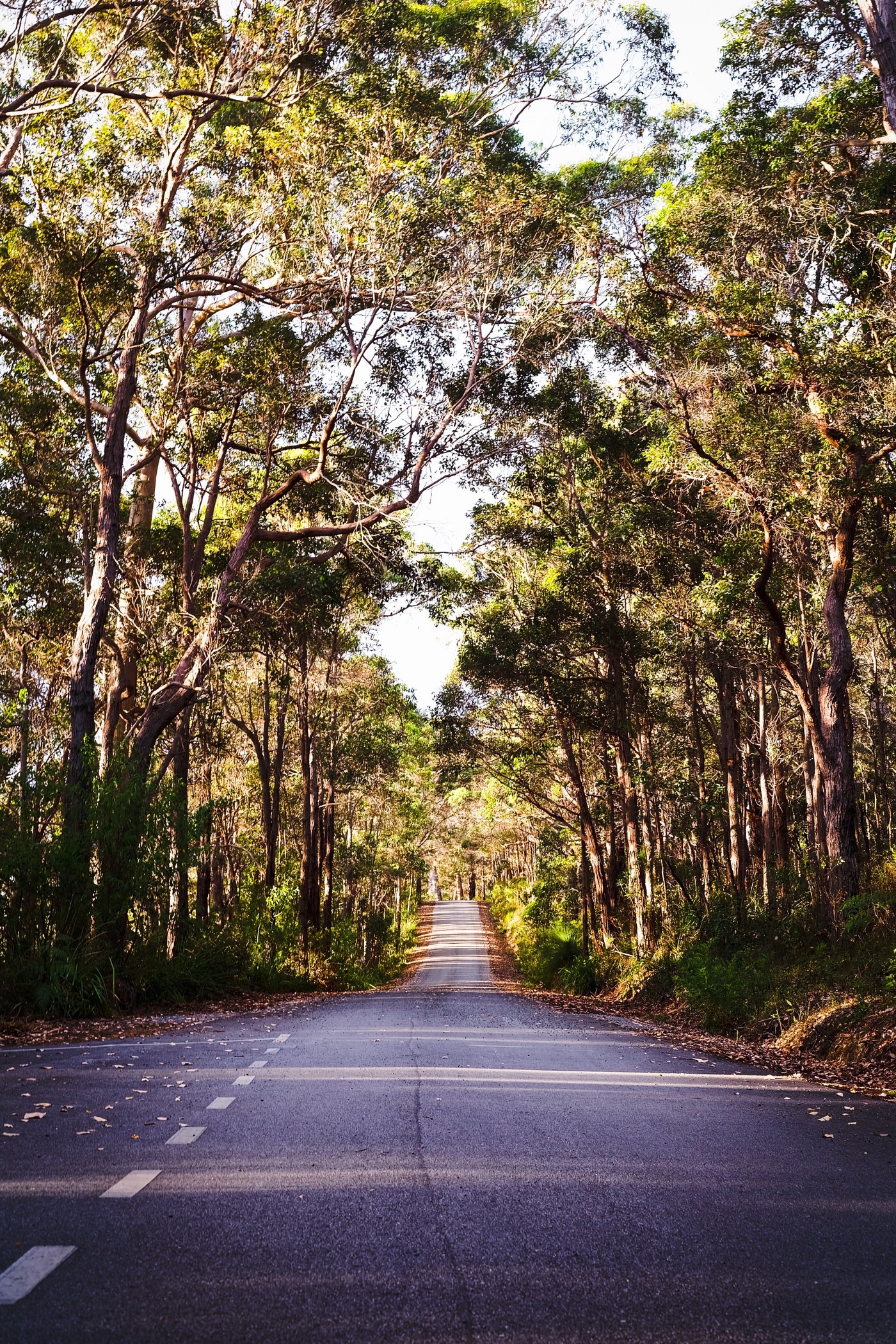 The roads of Western Australia