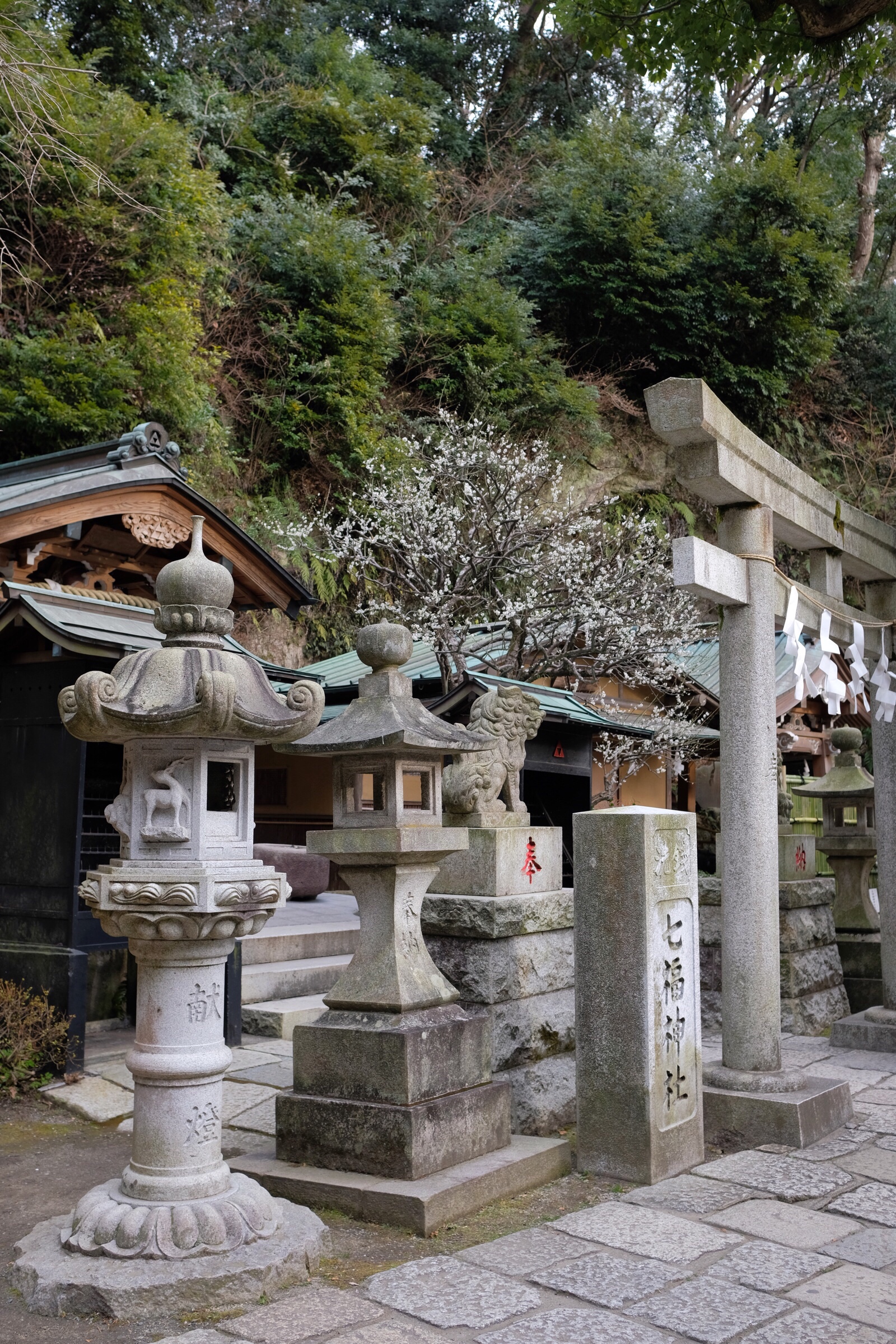 Japan – Kamakura – Zeniarai Benzaiten Ugafuku Shrine