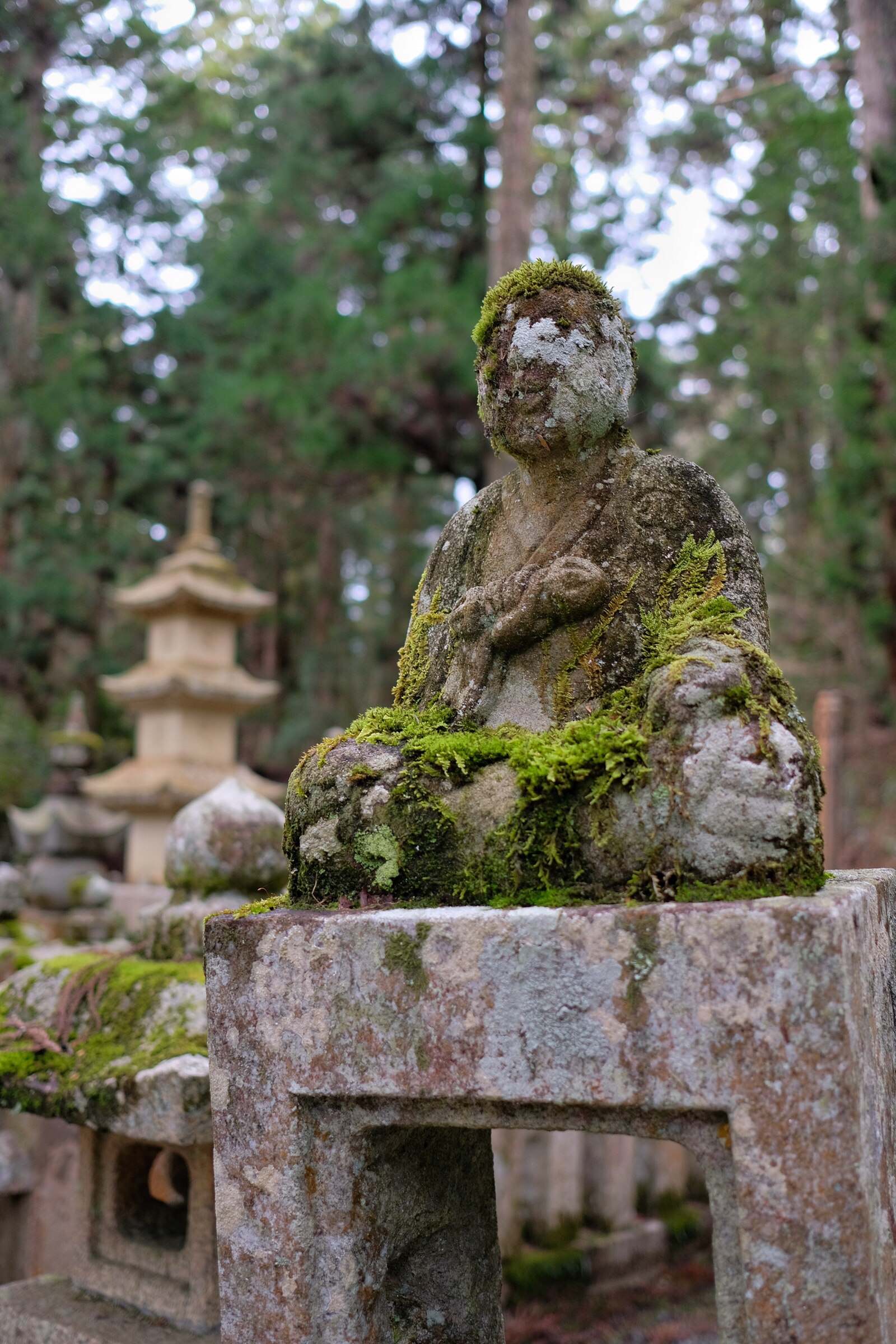 Japan - Koyasan - Okunoin Cemetery - Buddha