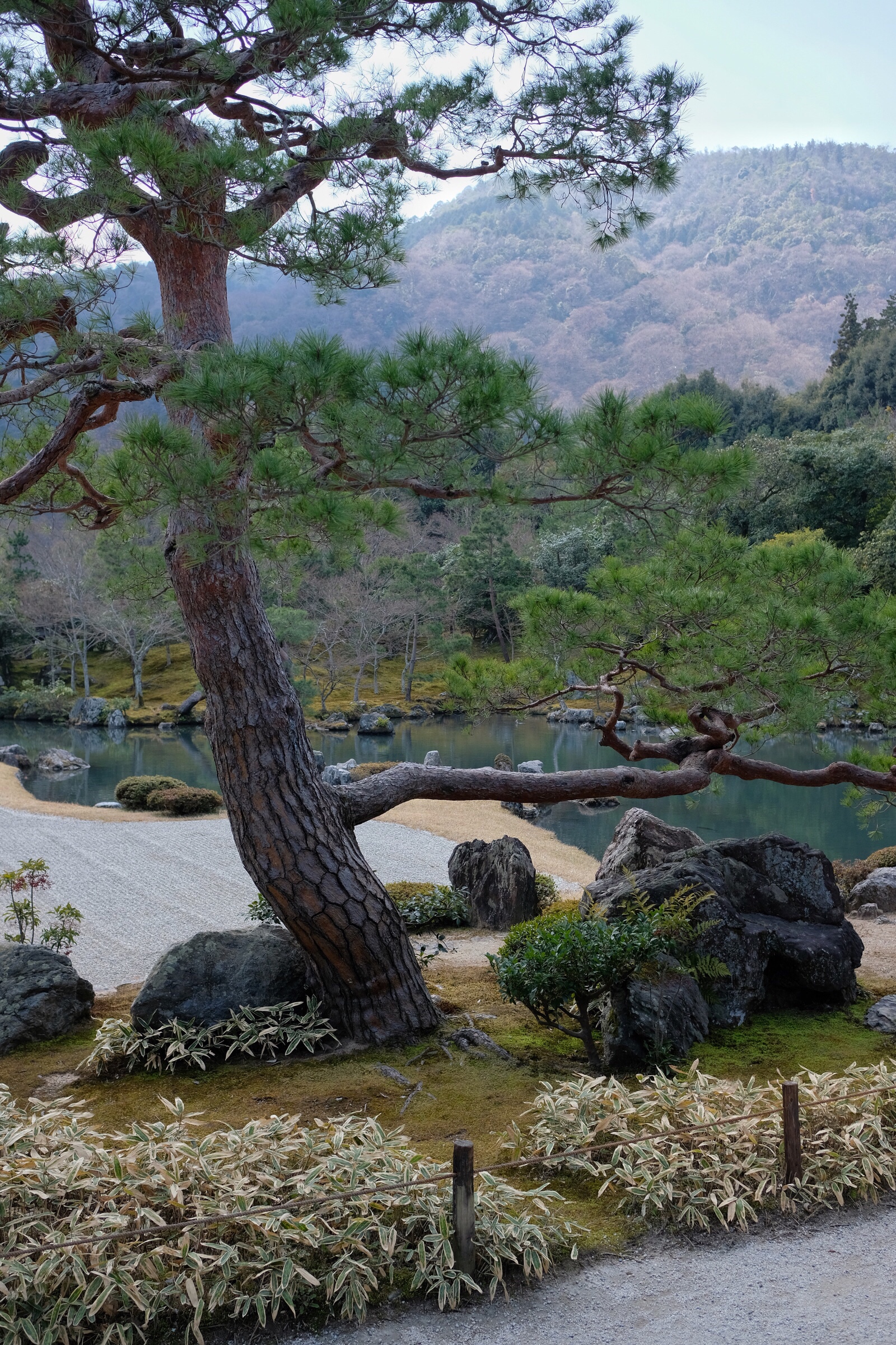 Japan - Kyoto - Tenryu-ji Temple - Gardens