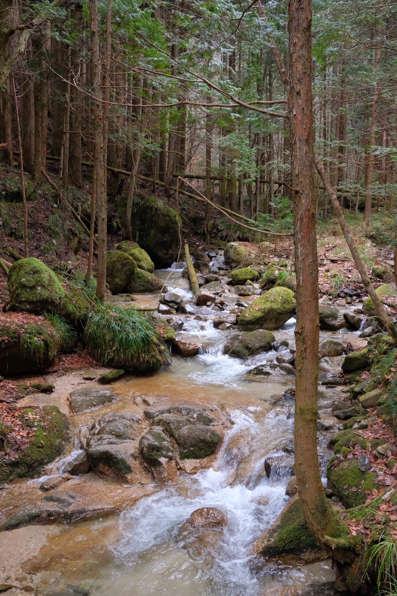 Japan – Magome – Nakasendō Stream