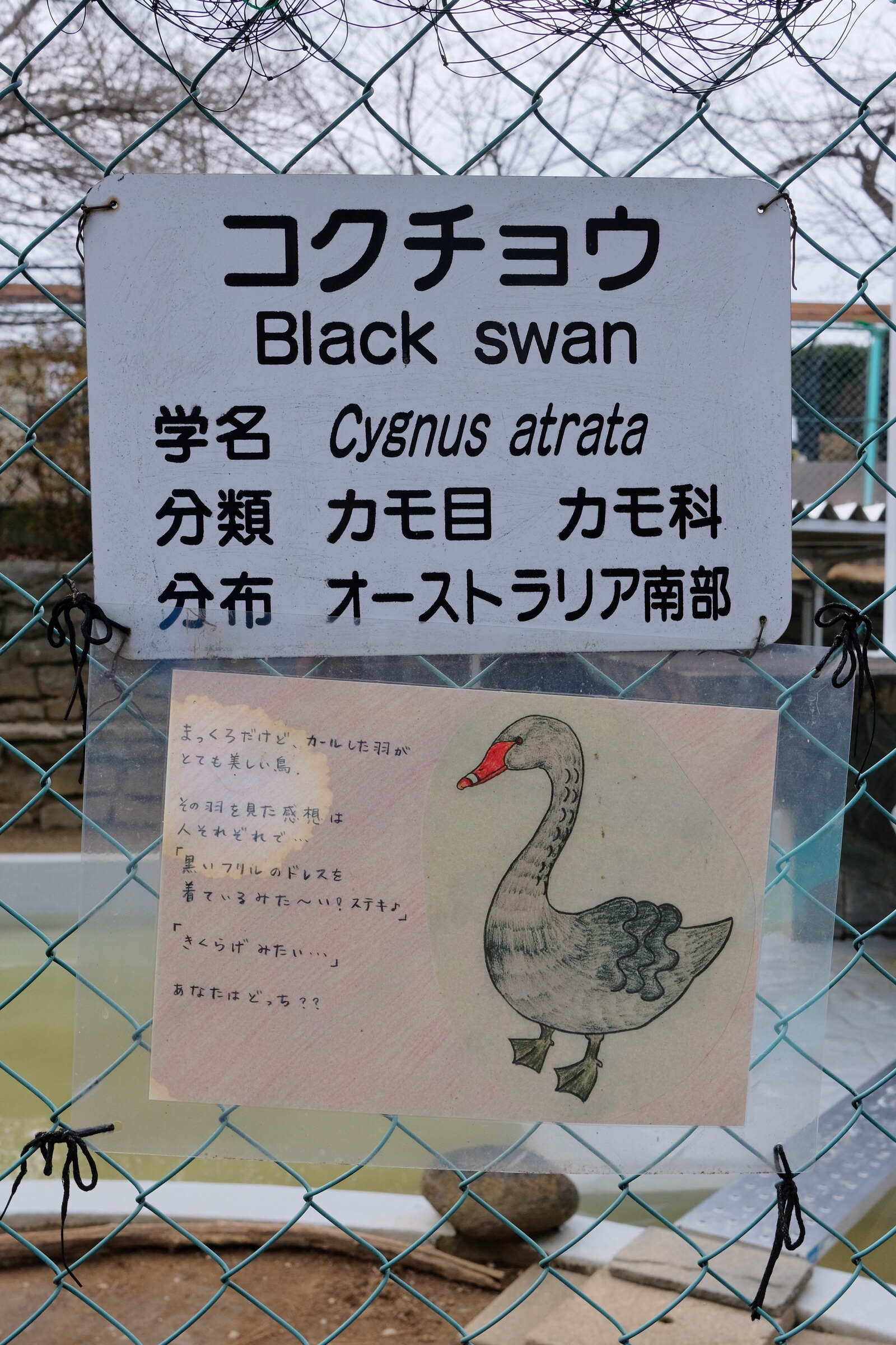 Japan – Nagano – Joyama Park Zoo