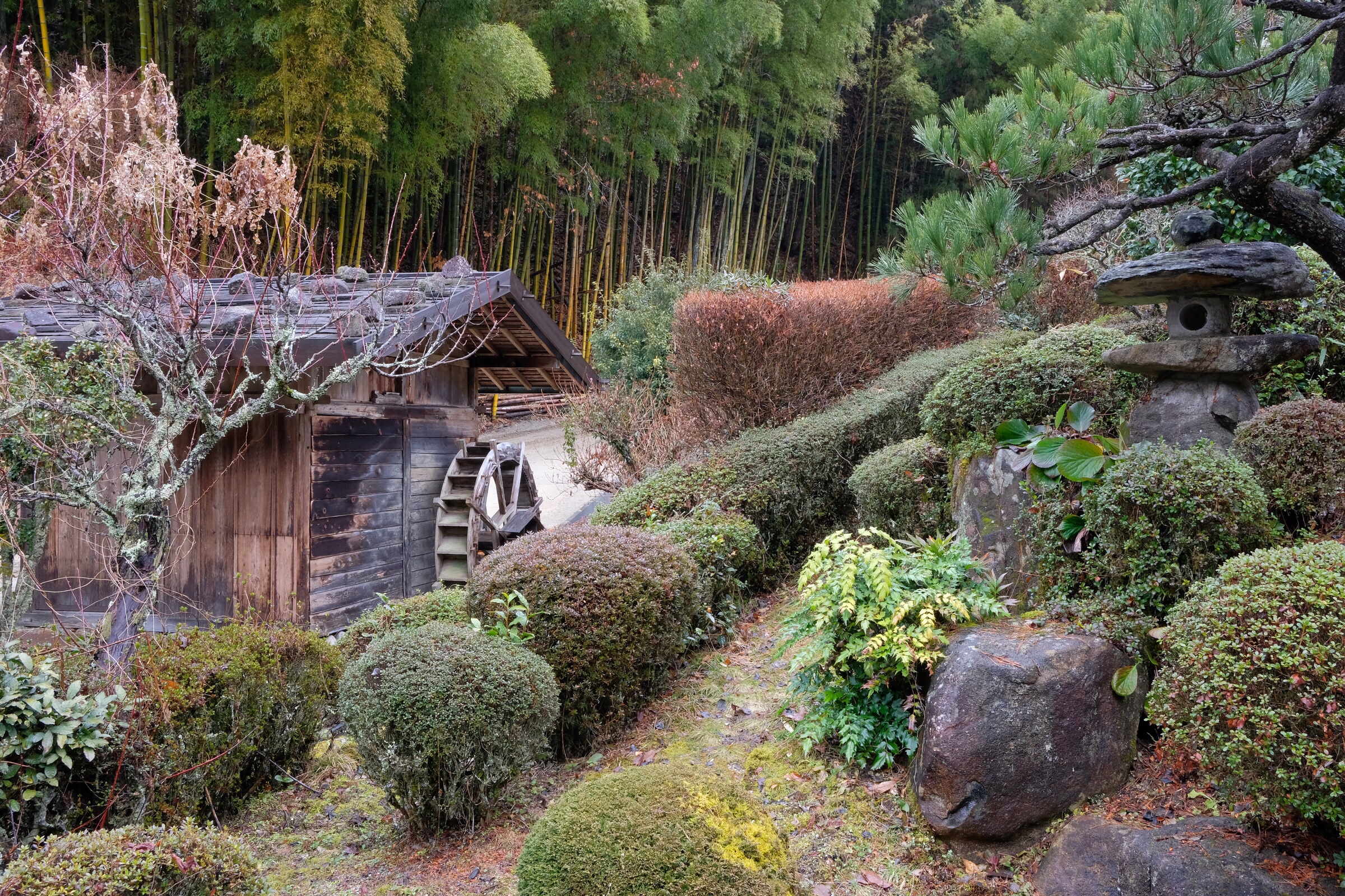 Japan – Nagiso – Farm