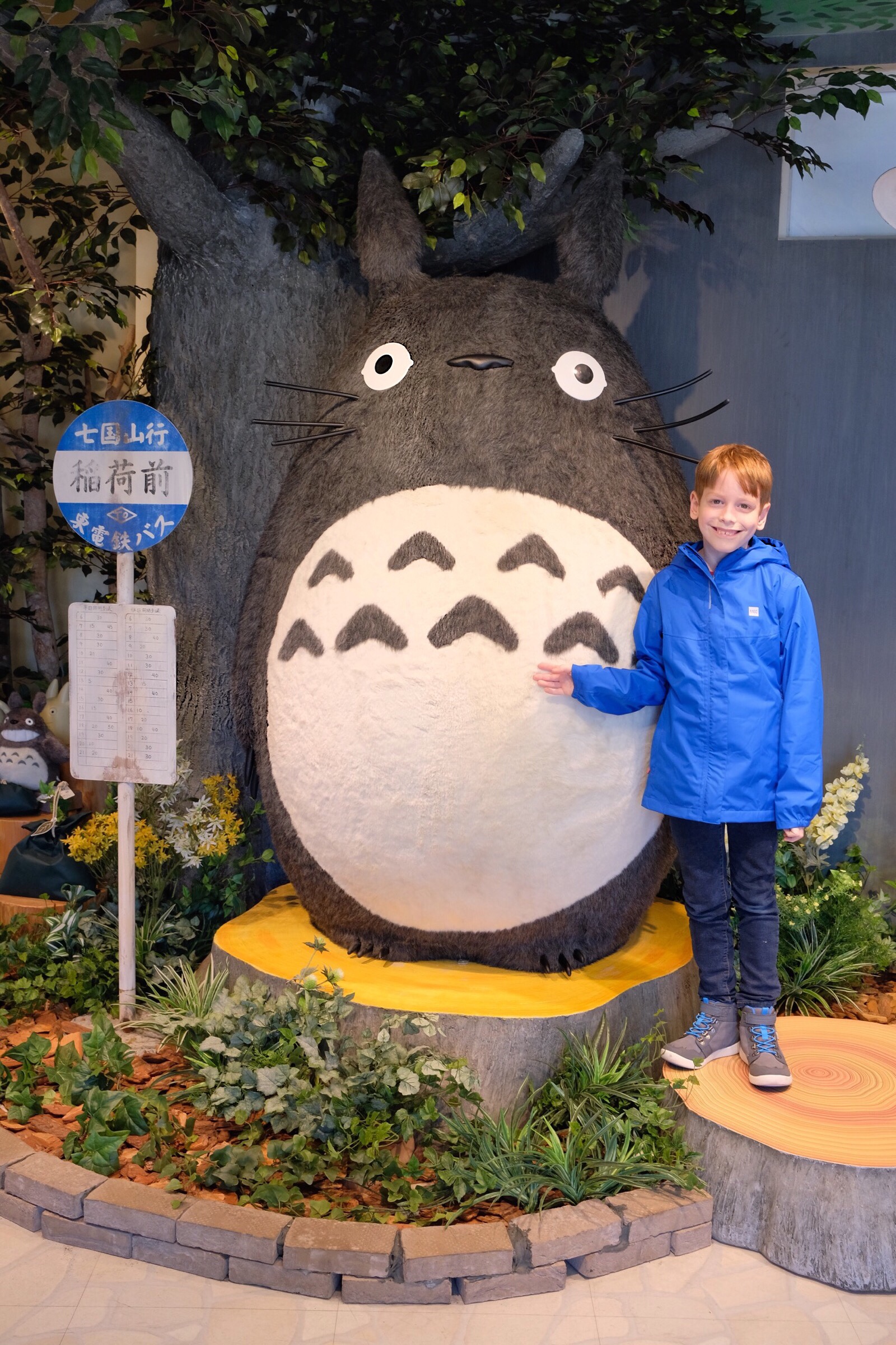 Japan – Tokyo – Studio Ghibli – Totoro