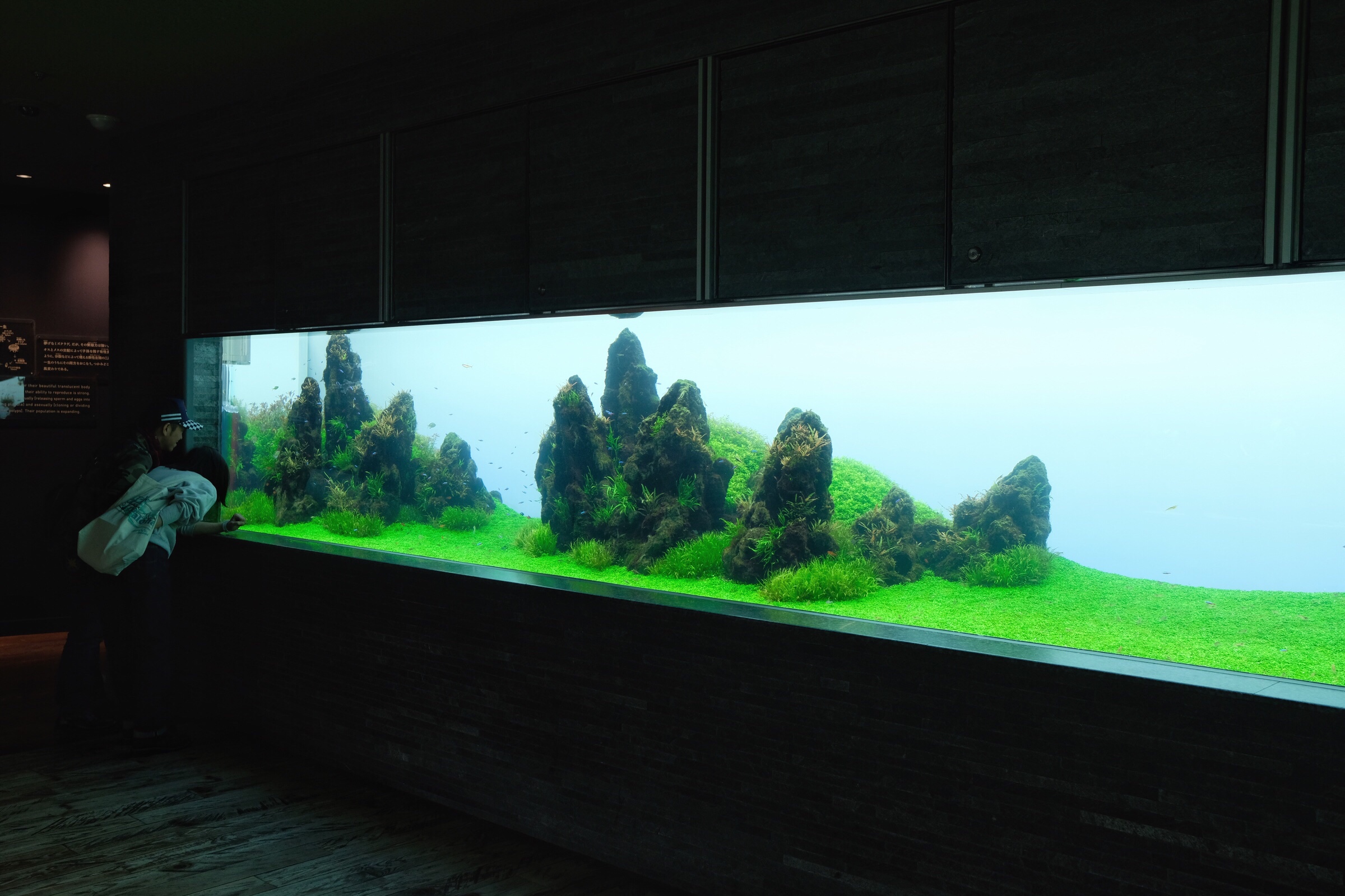 Japan – Tokyo – Sumida Aquarium