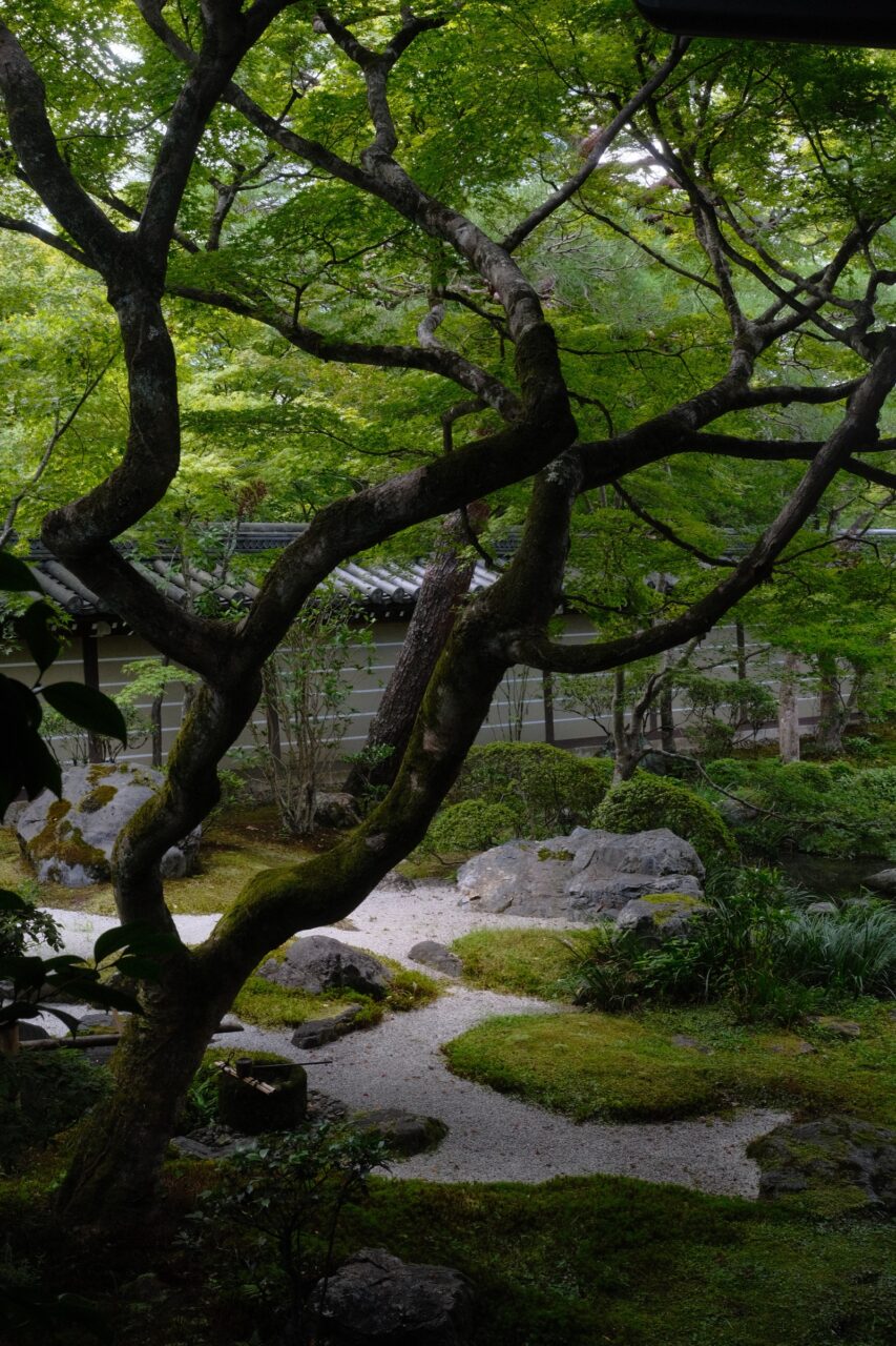 Eikandō temple and Okazaki Shrine