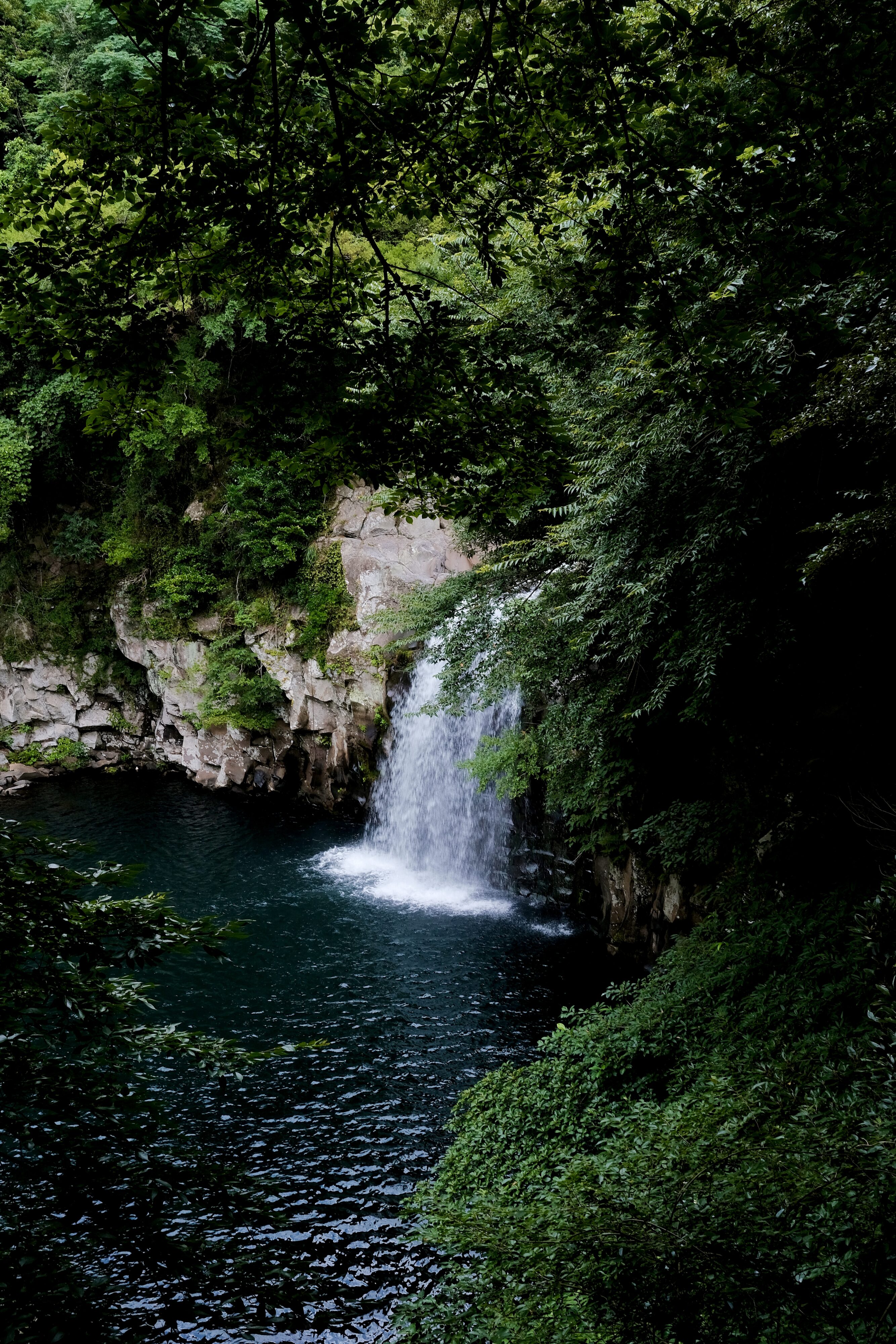 Jeju Island / Cheonjeyeon Waterfalls