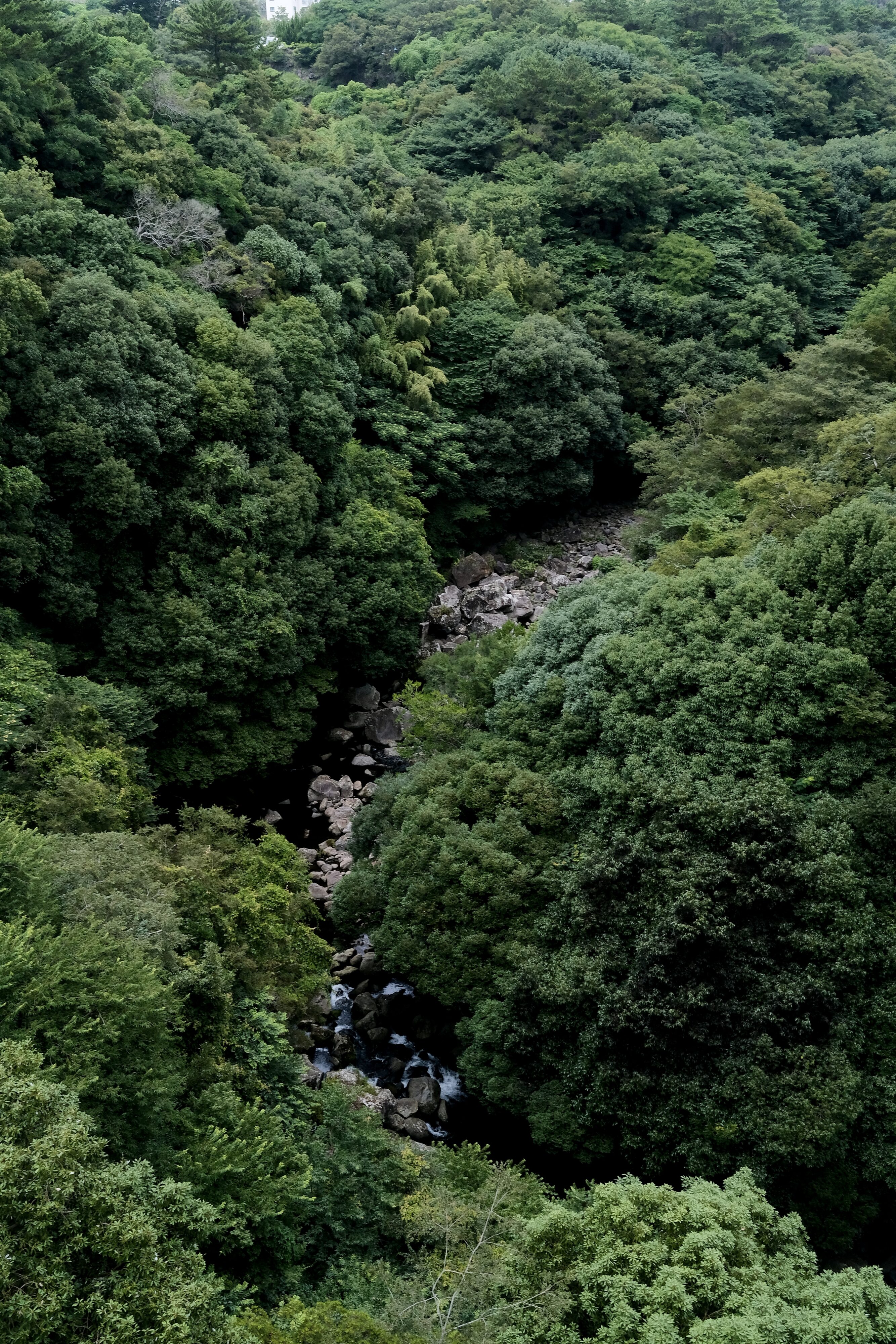 Jeju Island / Cheonjeyeon Waterfalls / Valley
