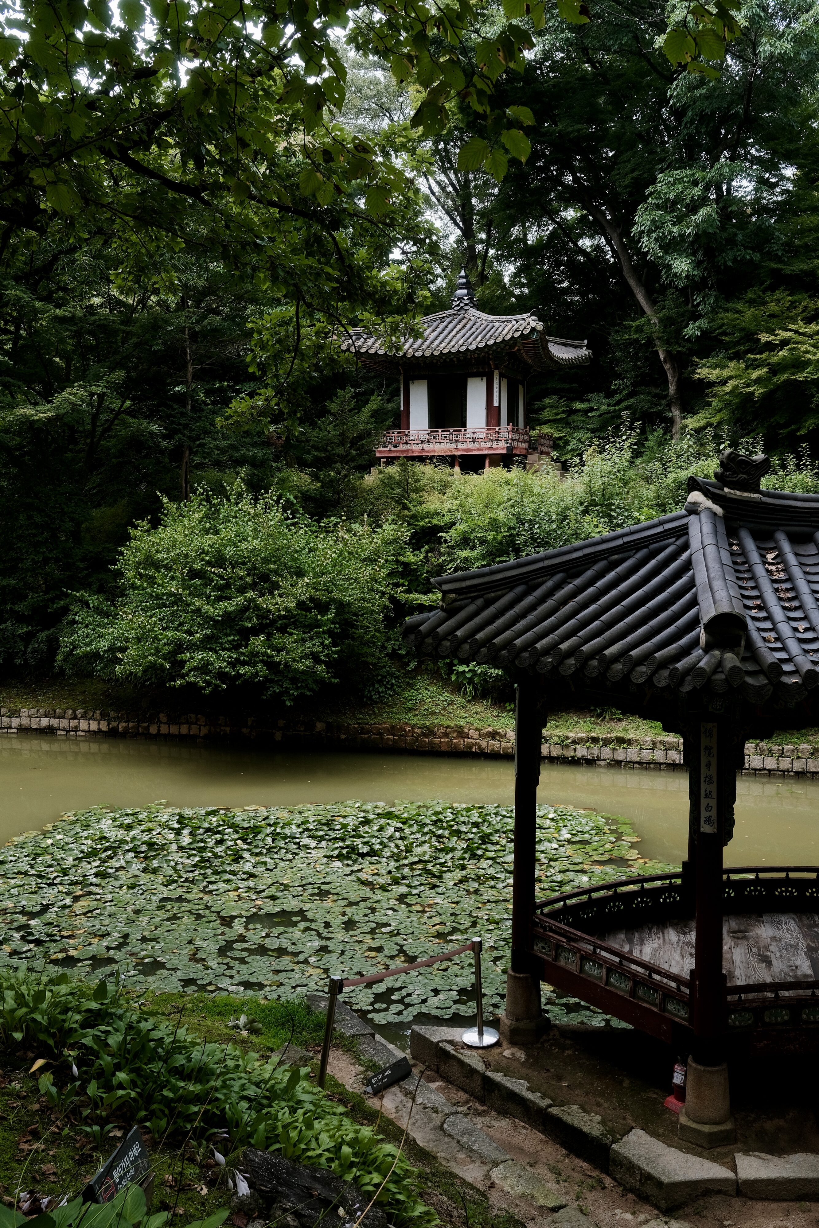 Seoul / Changdeokgung Secret Garden